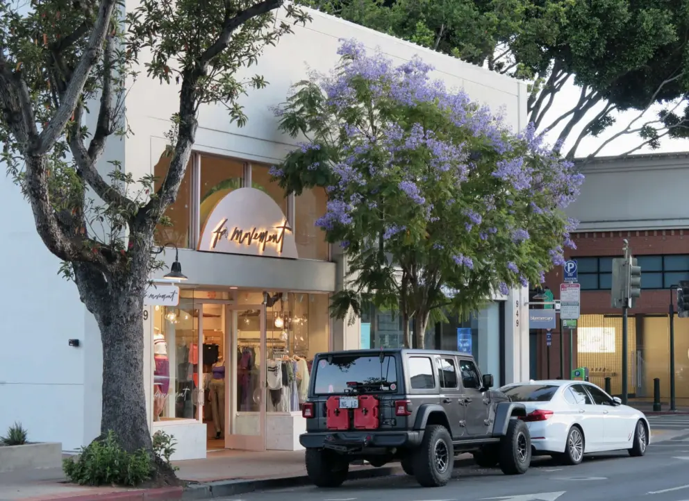 Women's clothing store on Higuera Street with jacaranda tree in front. 
