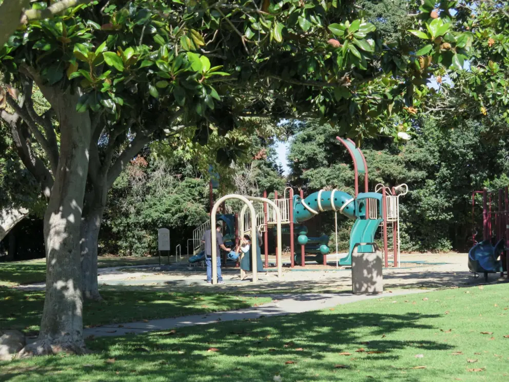 Magnolia tree by the playground. There is shade at the playground too. 