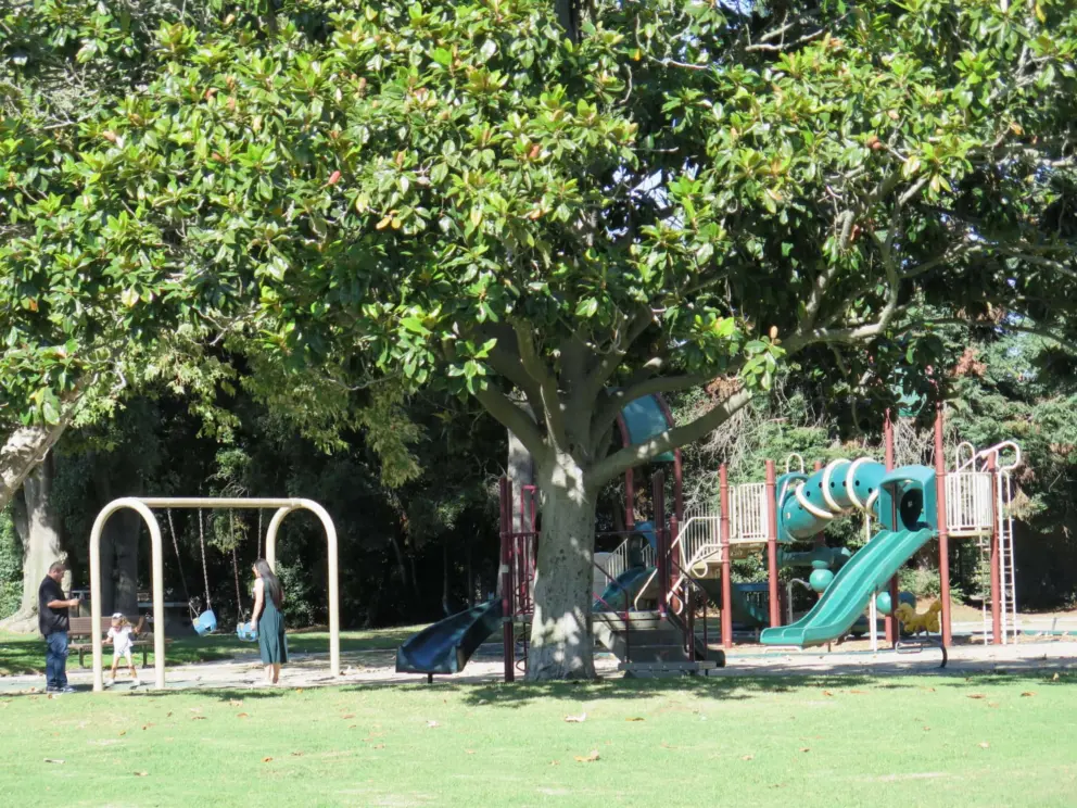 Family at the baby swings, with beautiful trees around. 