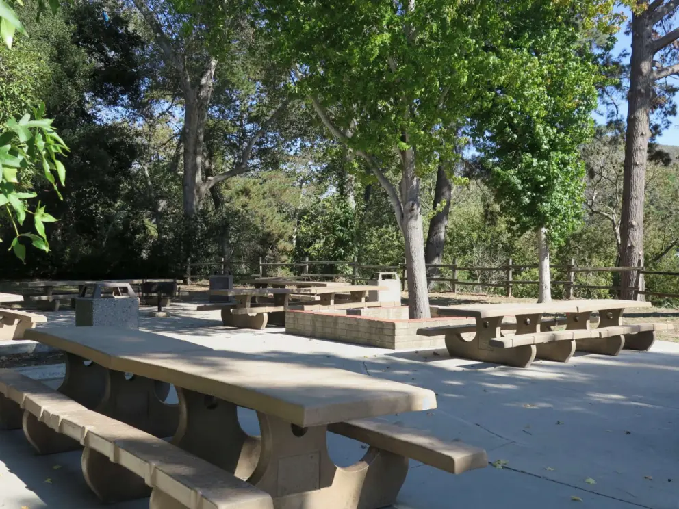 Concrete picnic tables on the far end of the park. 