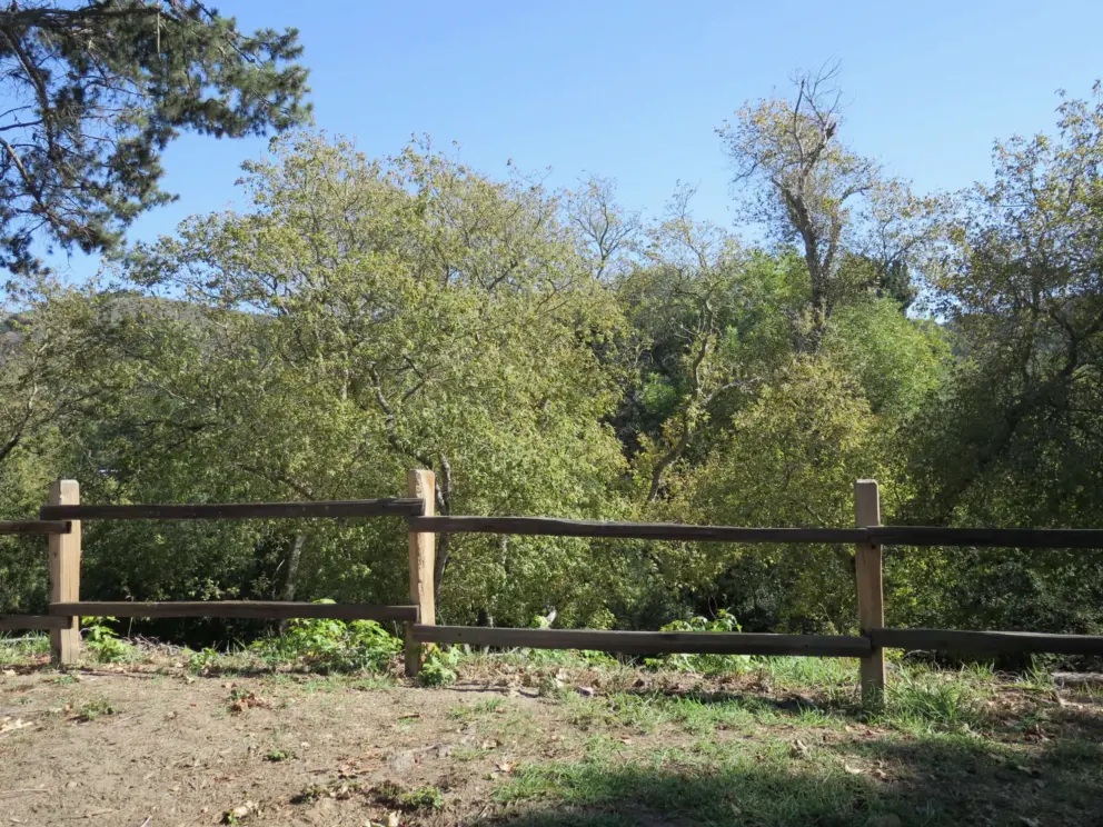 The creek is behind the fence. 