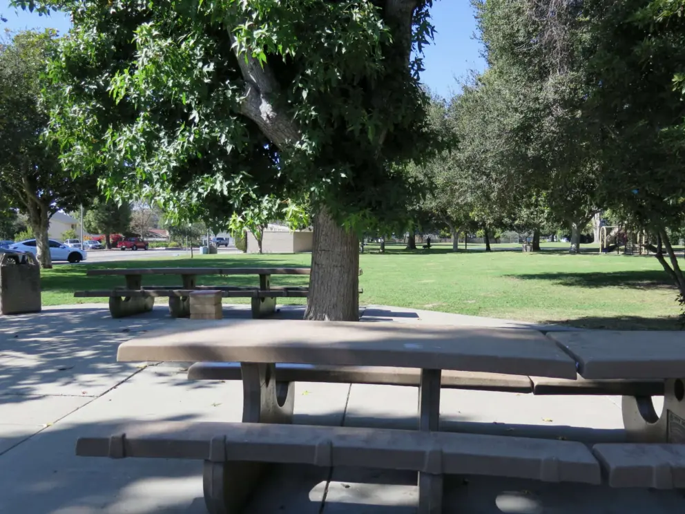 Picnic tables, and the playground in the distance. 