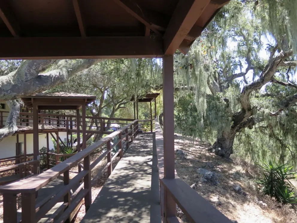 Wooden walkway and lookout at SLO Buddhist Temple, above the Bob Jones Trail. 