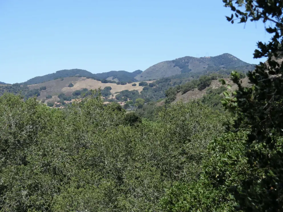 Views of the valley from SLO Buddhist Temple. 