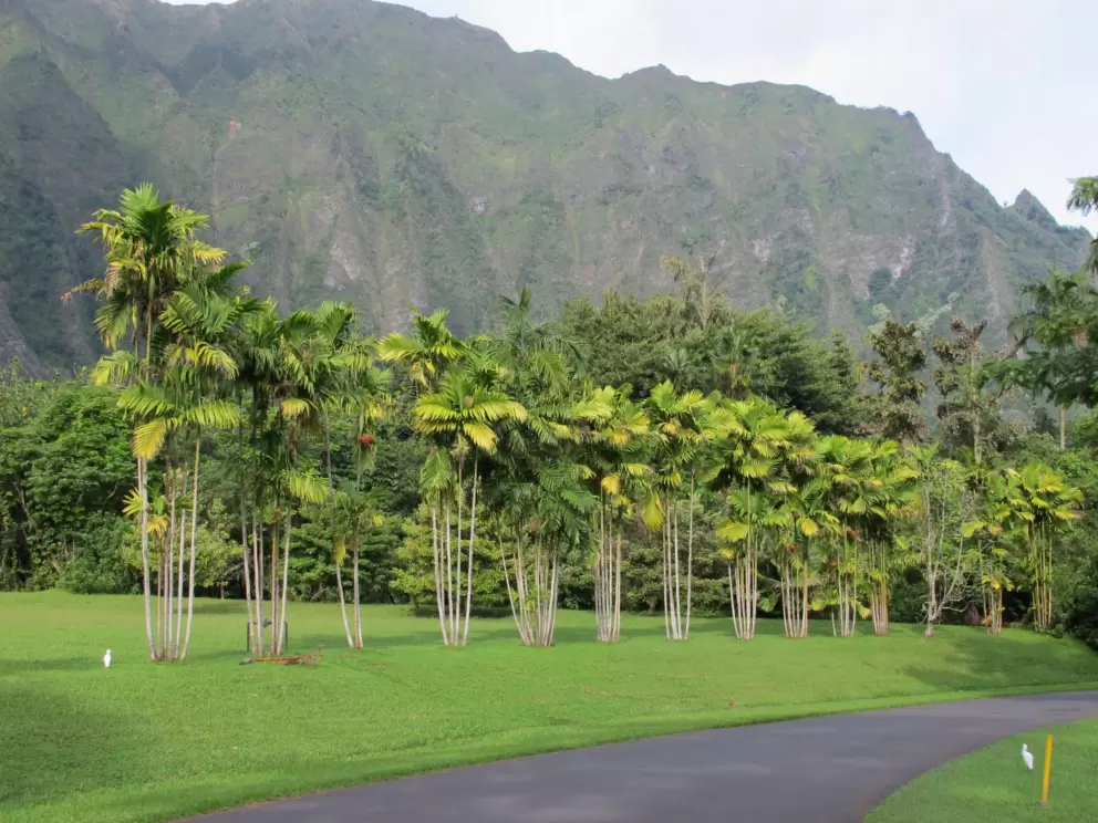 The Park Access Rd takes you through the beautiful scenery.