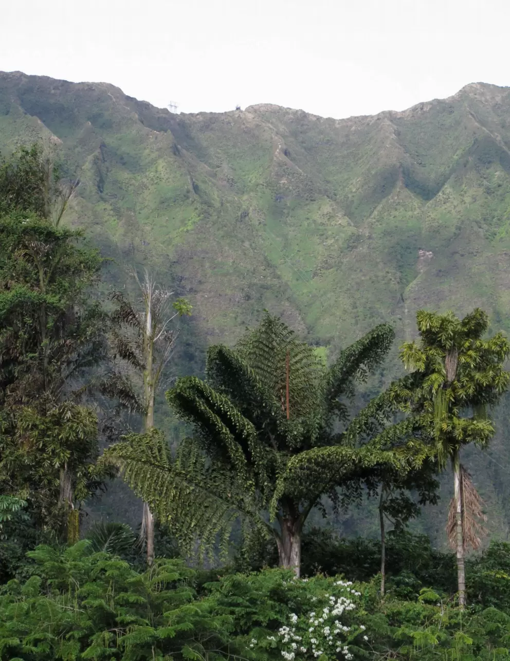Morning light on the mountains.