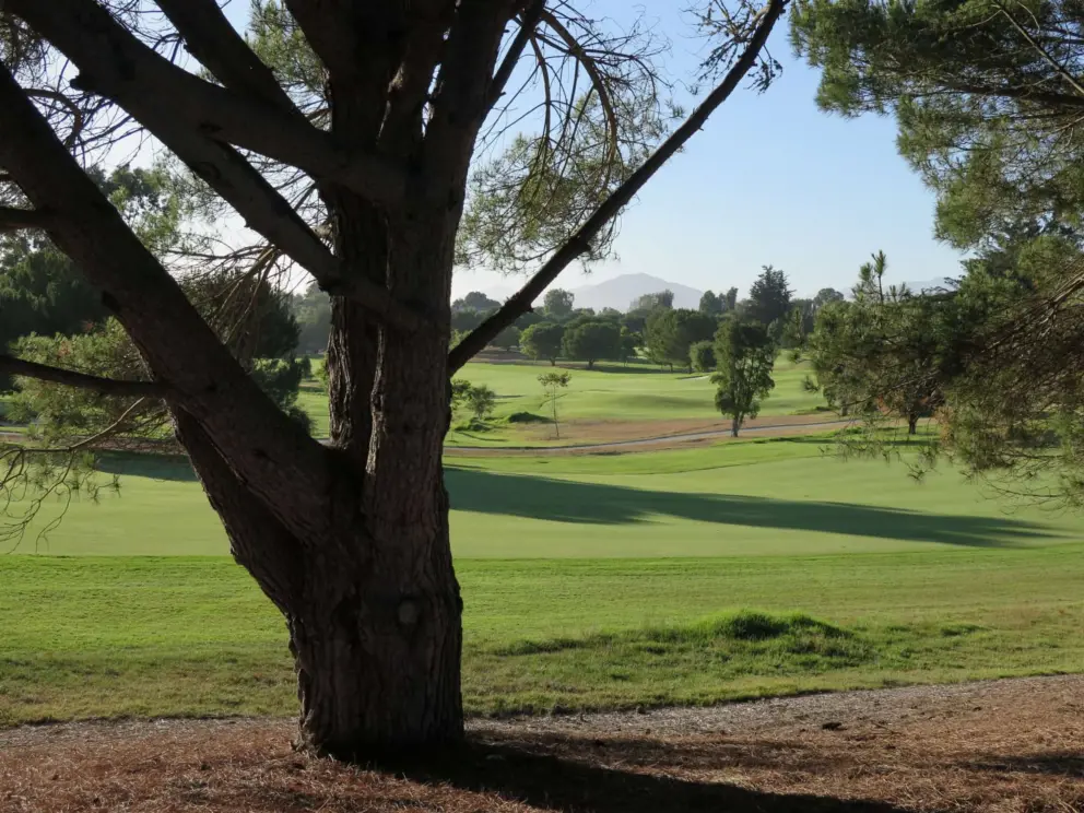 The golf course. 