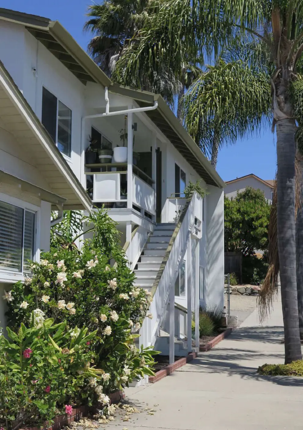 Tropical look of Avila town, on First Street. 
