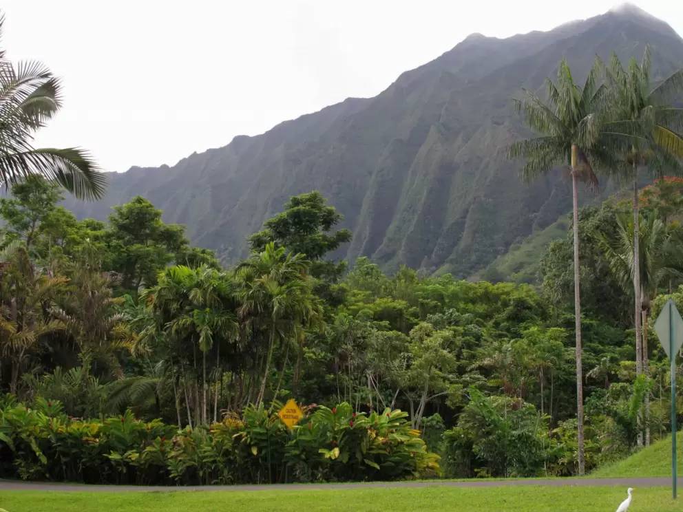 You can't get mountains nicer than this!