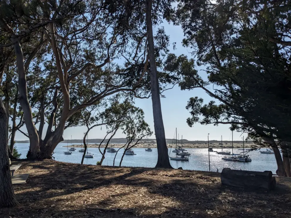 Franklin Riley Park has amazing views over the estuary. Take the stairs across from Tidelands Park to reach it. 