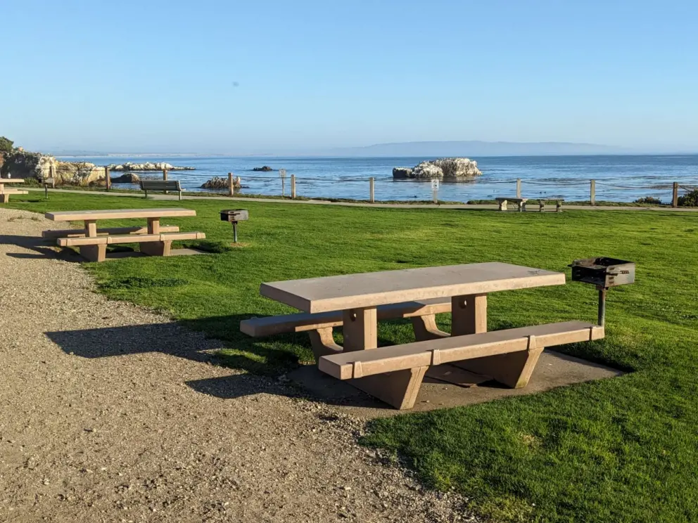 Picnic tables with a marvelous view!