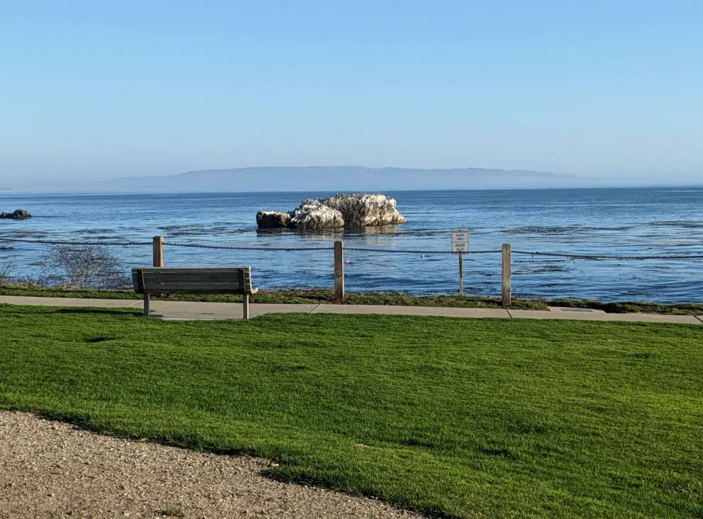 Bench with a view of a bird rock, on an idyllic day in August. 
