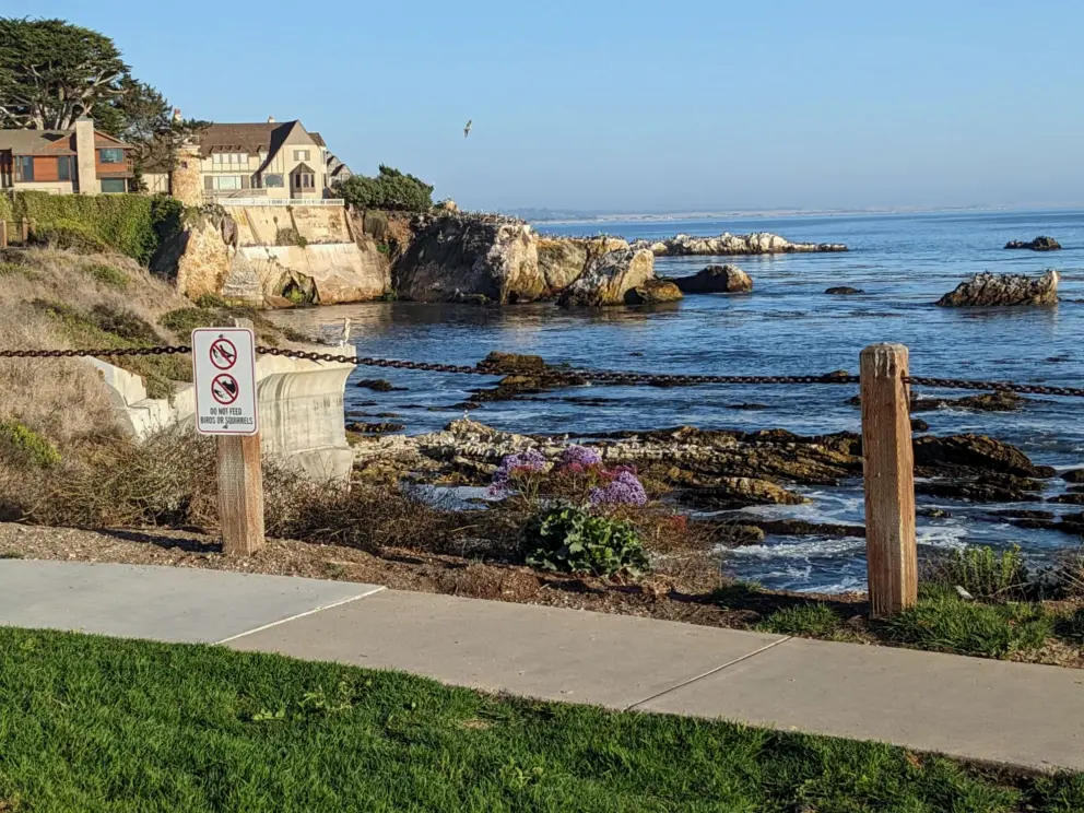 Flowers, tidepools, bird rocks, and Chapman Estate. 