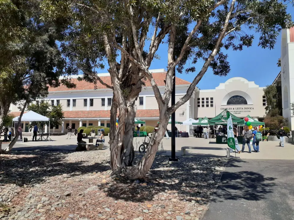 The courtyard by the library on open day. 