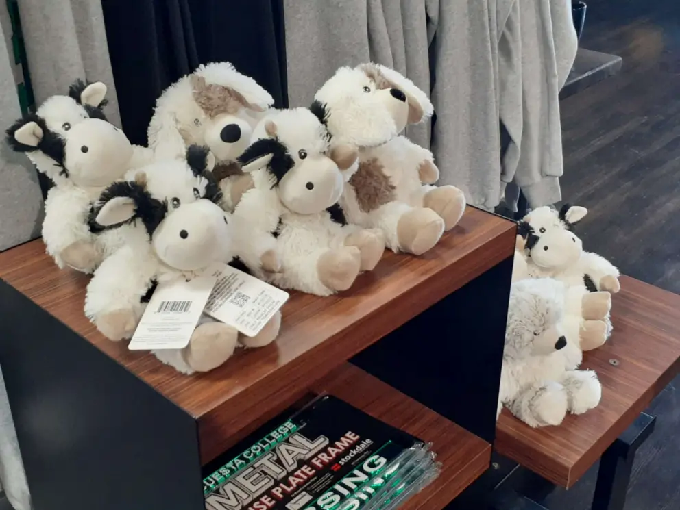 Stuffed animals in the bookstore. 