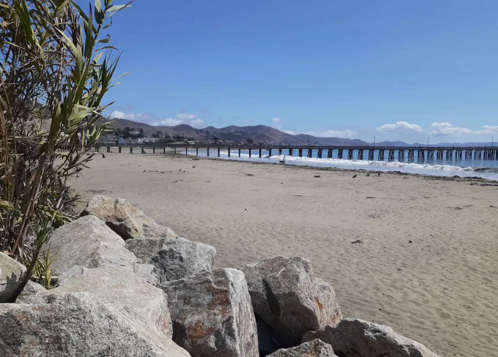 Rocks and landscaping and views of the sand, from the stairs at Cayucos Beach Condos. 