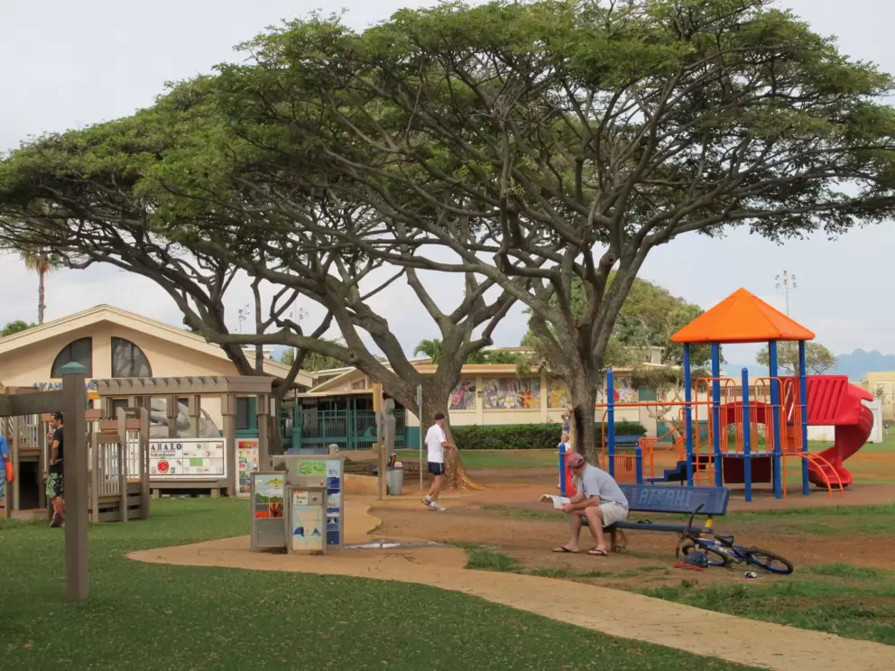 Bench and nice big trees. The new playground is on the left and the old one on the right.