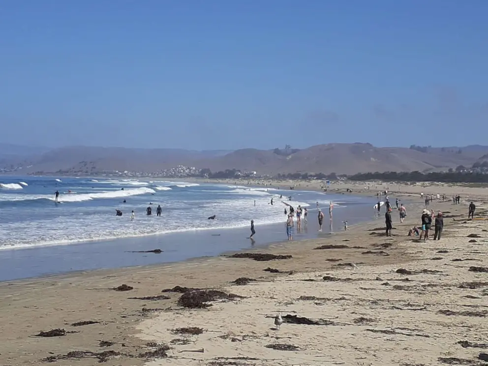 Beachgoers enjoying a warm September day. 