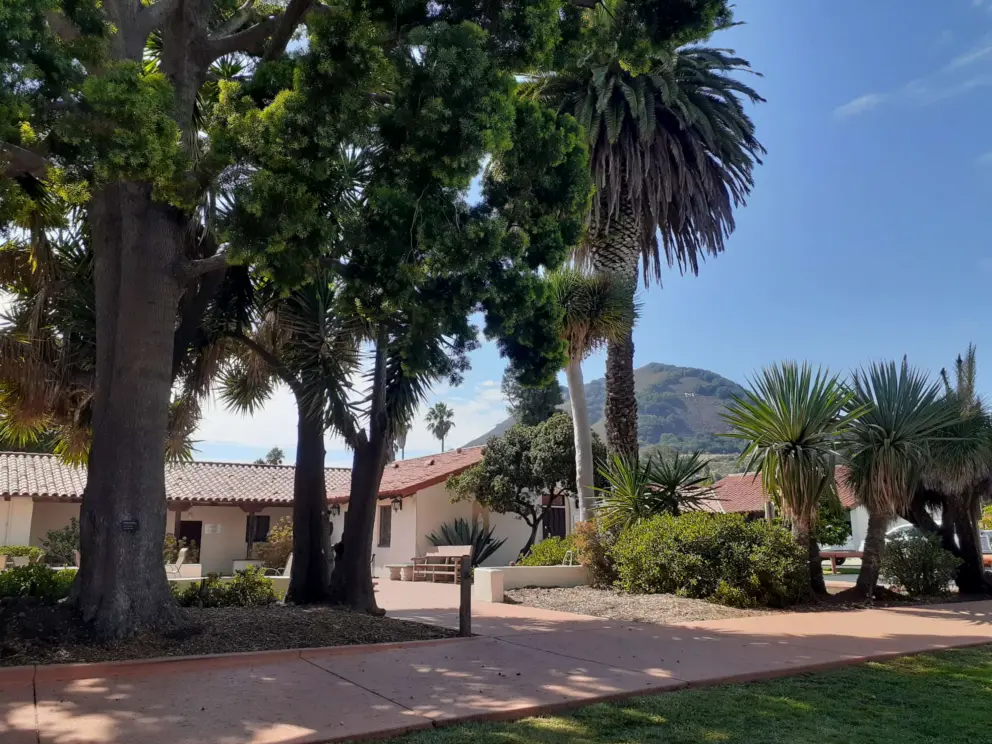 Views of Madonna Mountain from the back garden. 