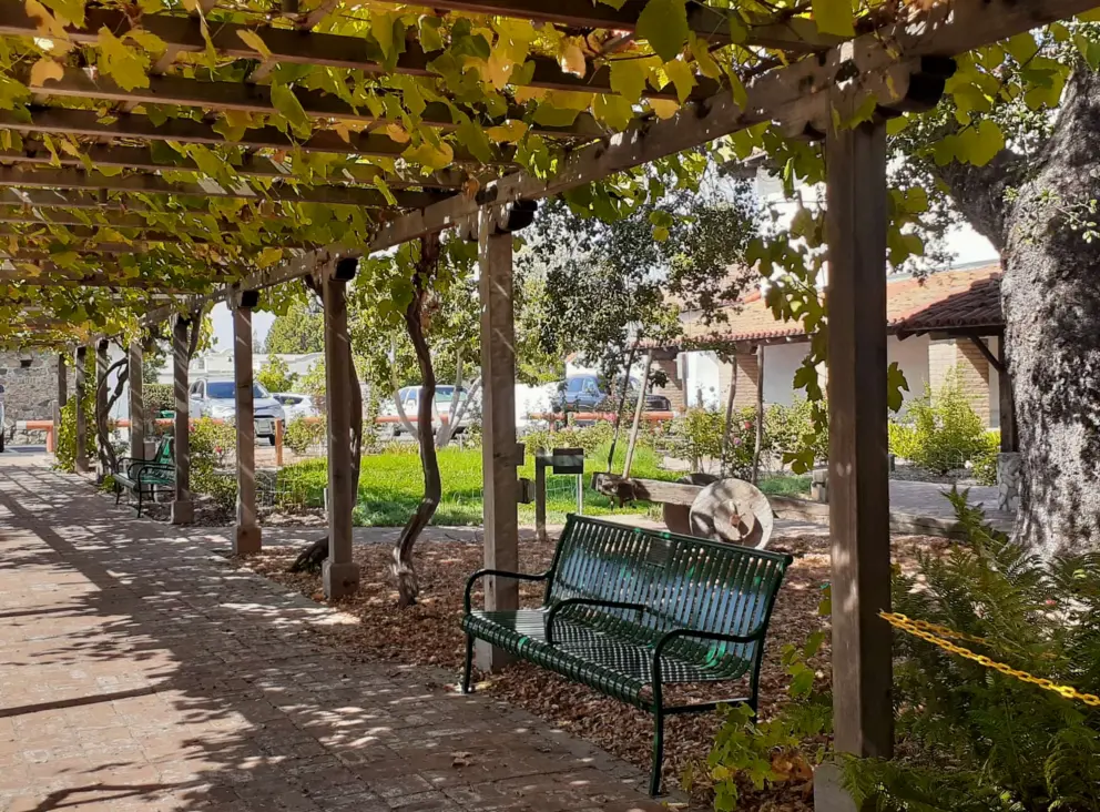 Trellis and bench. 