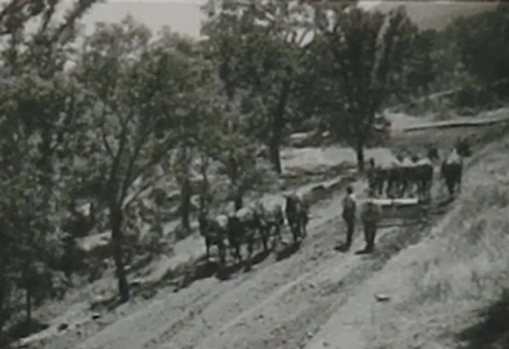 A Fresno scraper and mule team flatten the ground during the construction of Highway 41, to connect Atascadero with Cloisters Beach, then called Atascadero Beach. 