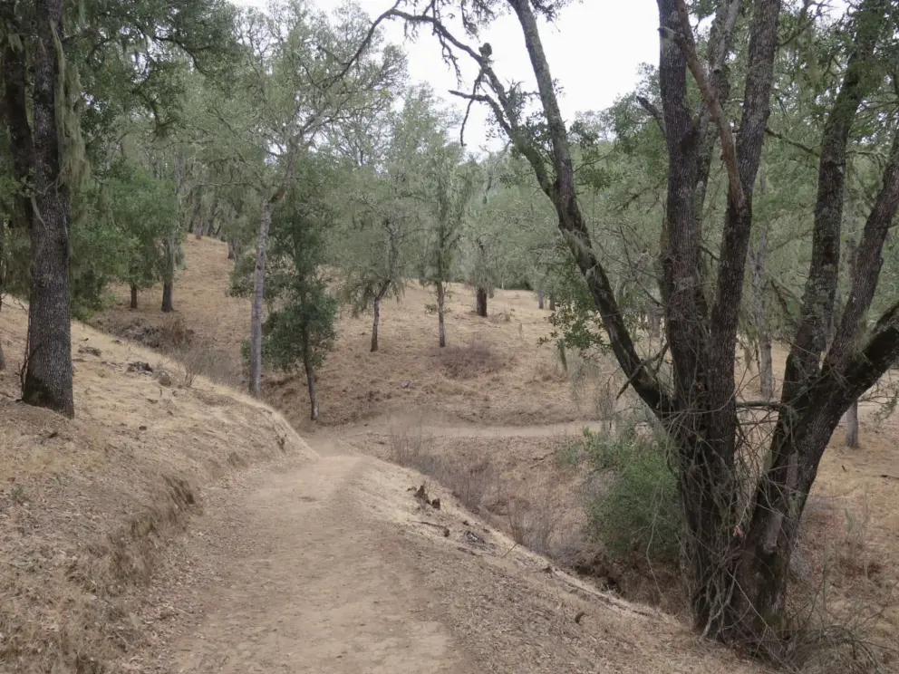 The trail goes up and down and winds around.