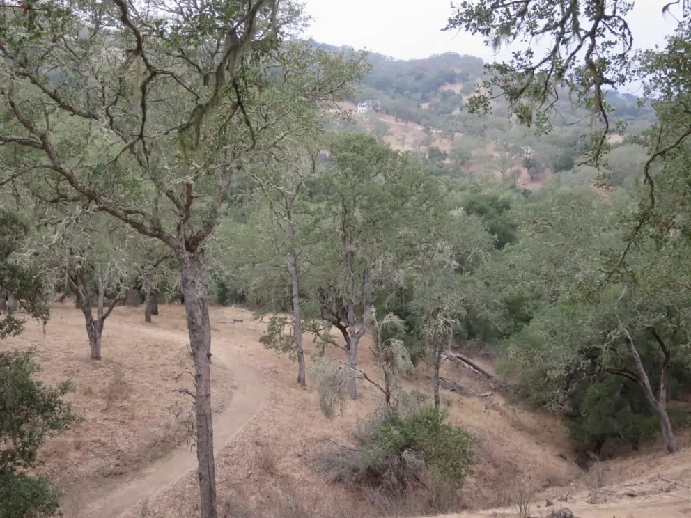 Views of the mountains from the trail.