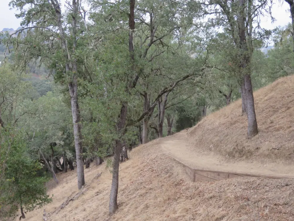 The trail is well-made. 