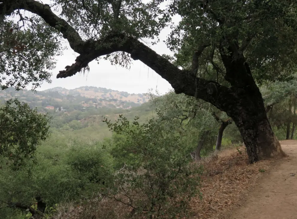 Mountain views from the trail. 