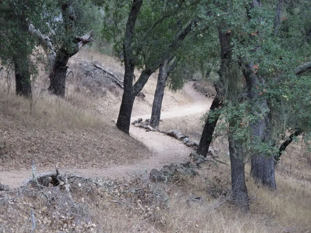 A cozy corner in the trail. 
