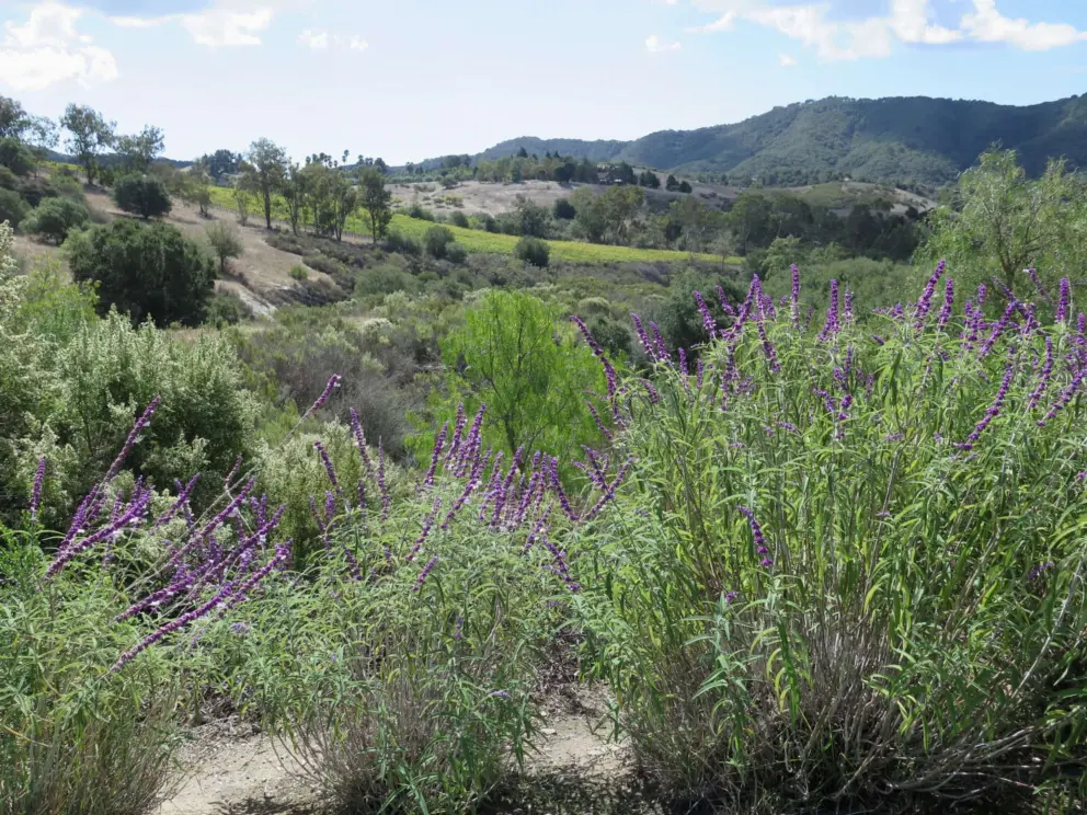 View of Avila Valley from an open house in the Bassi Drive gated community.
