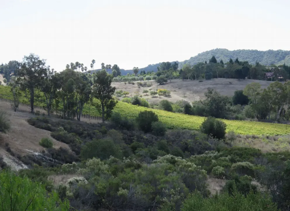 Light playing in the valley, seen from a mansion on Bassi Drive. 