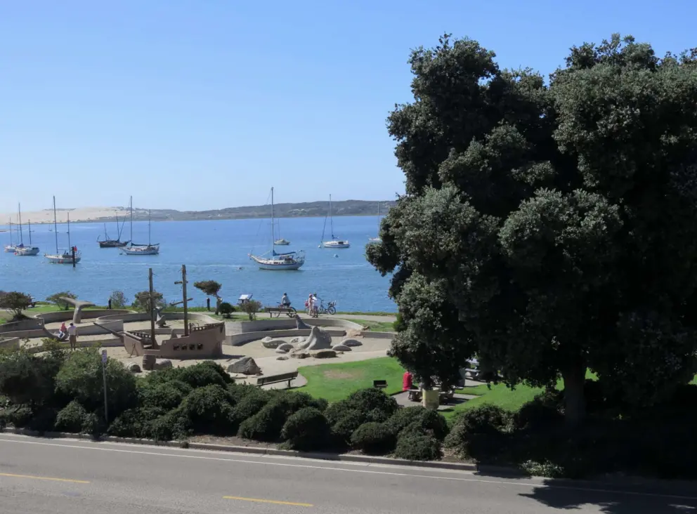 Tidelands Park in Morro Bay, with Port Jackson fig tree. 