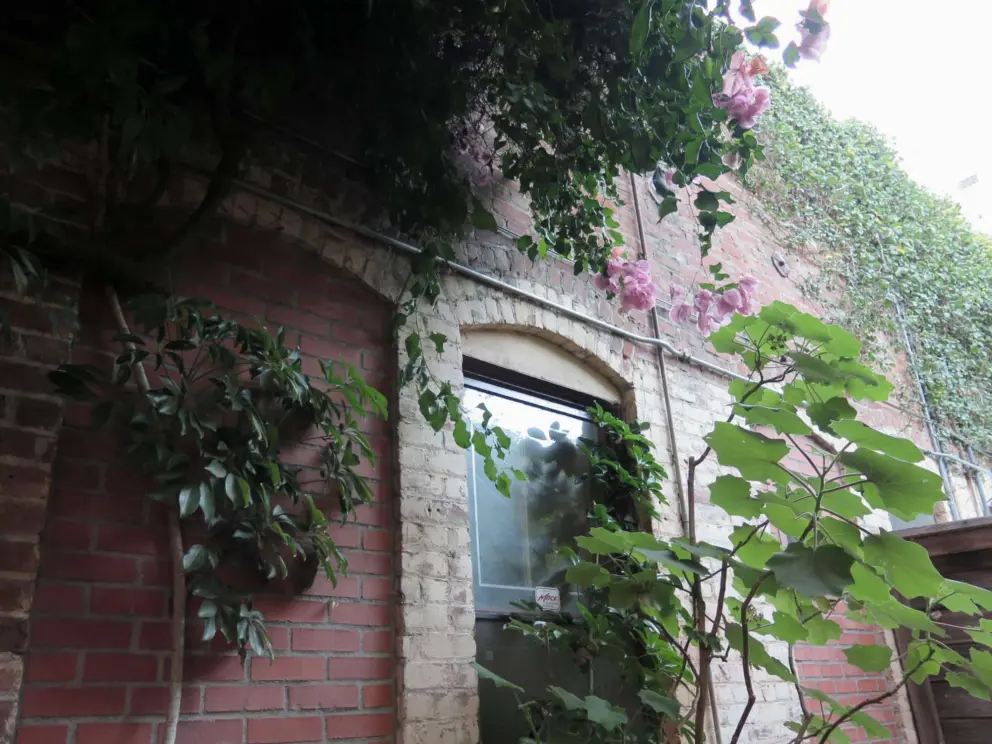 The back garden of Linnaea's Cafe, where Garden Street meets downtown. 