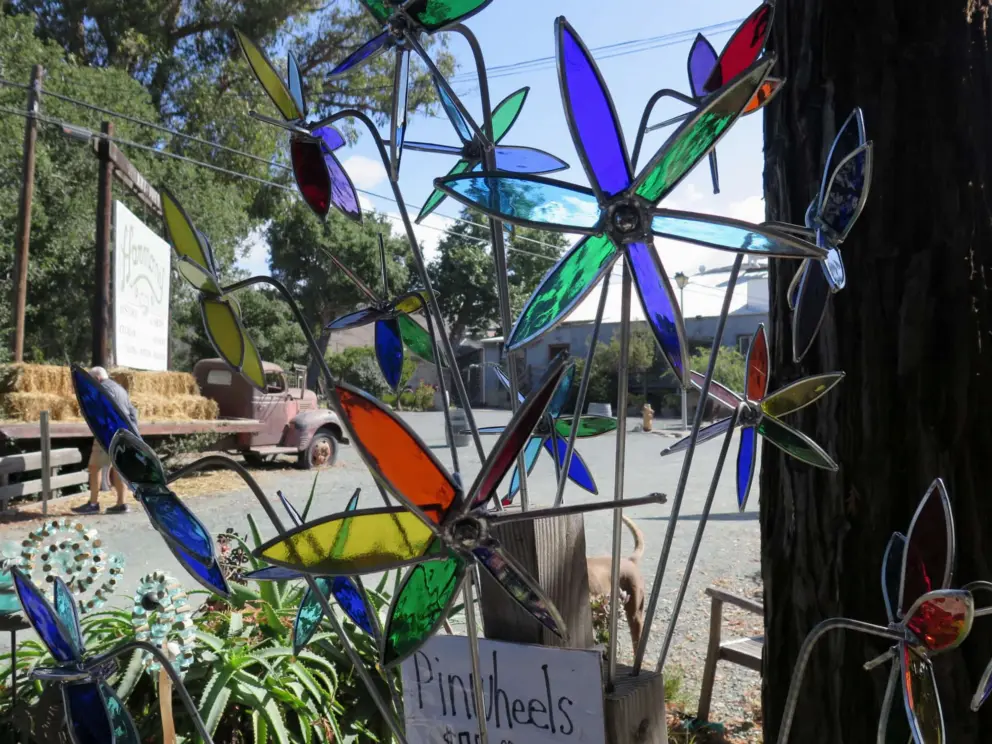 Pinwheels catching the light!