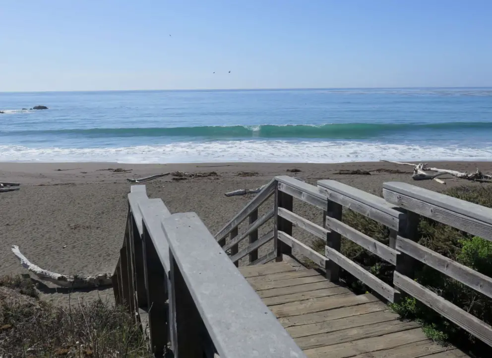 Wooden stairs down to the sand. 