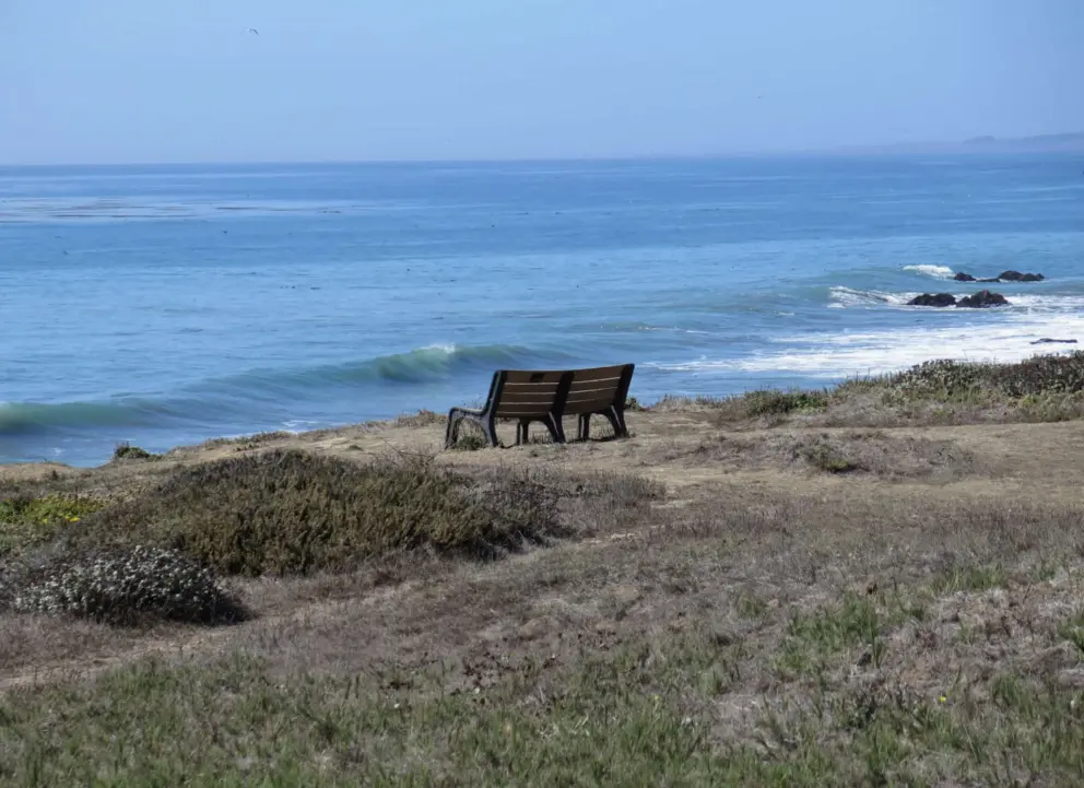 Bench with curling wave. 
