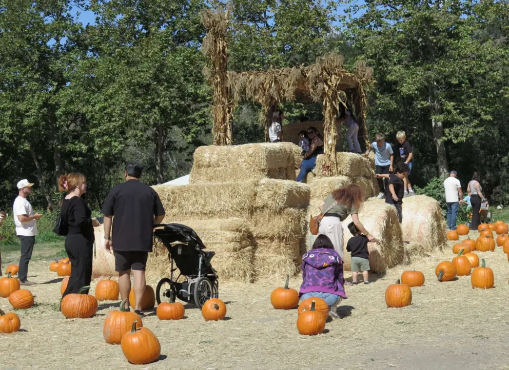 Kids playing on a wagon made of hay.