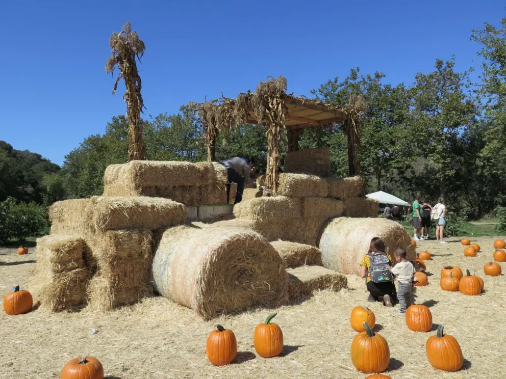 A mom and child by the wagon made of hay.