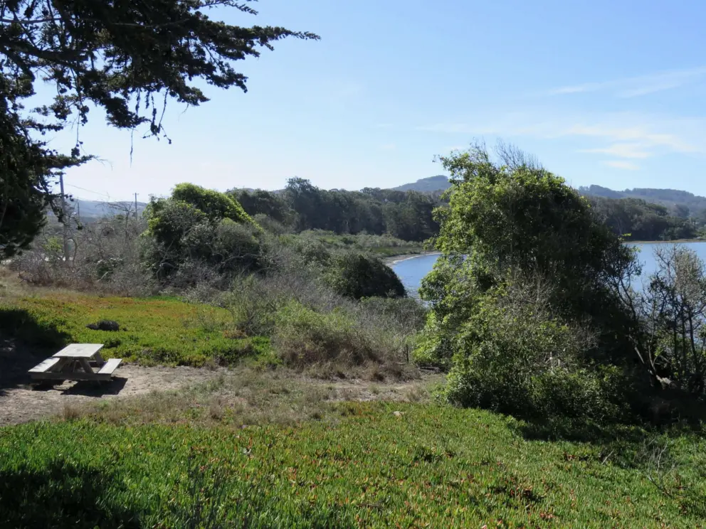 Picnic table over the estuary, on El Moro Ave.