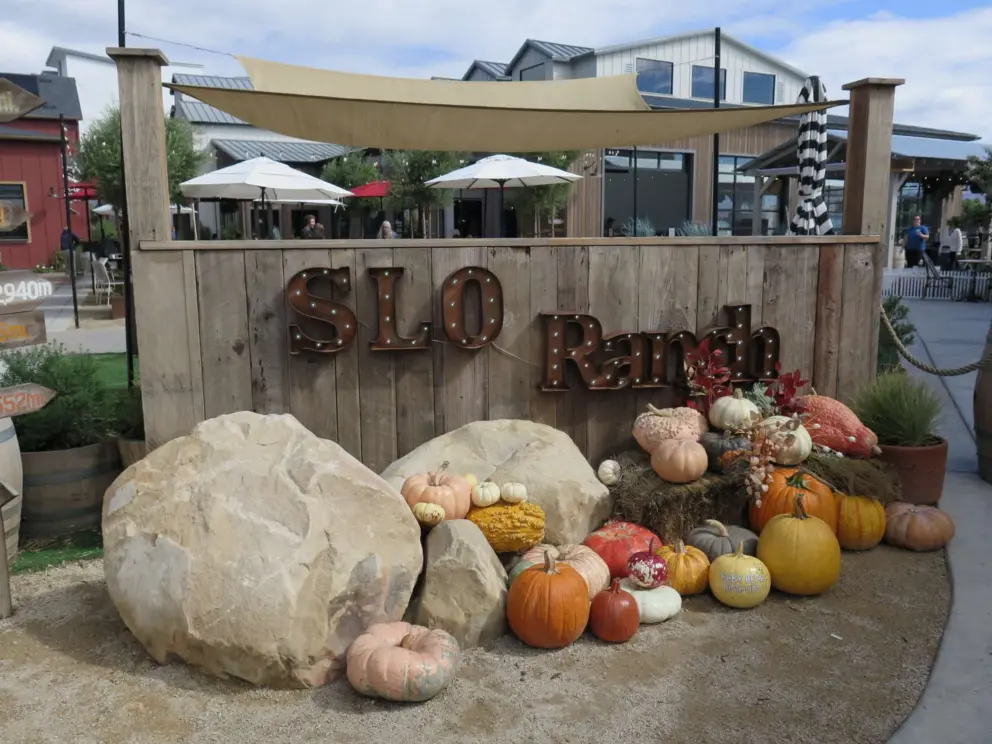 Decorations near the entrance sign in the fall.