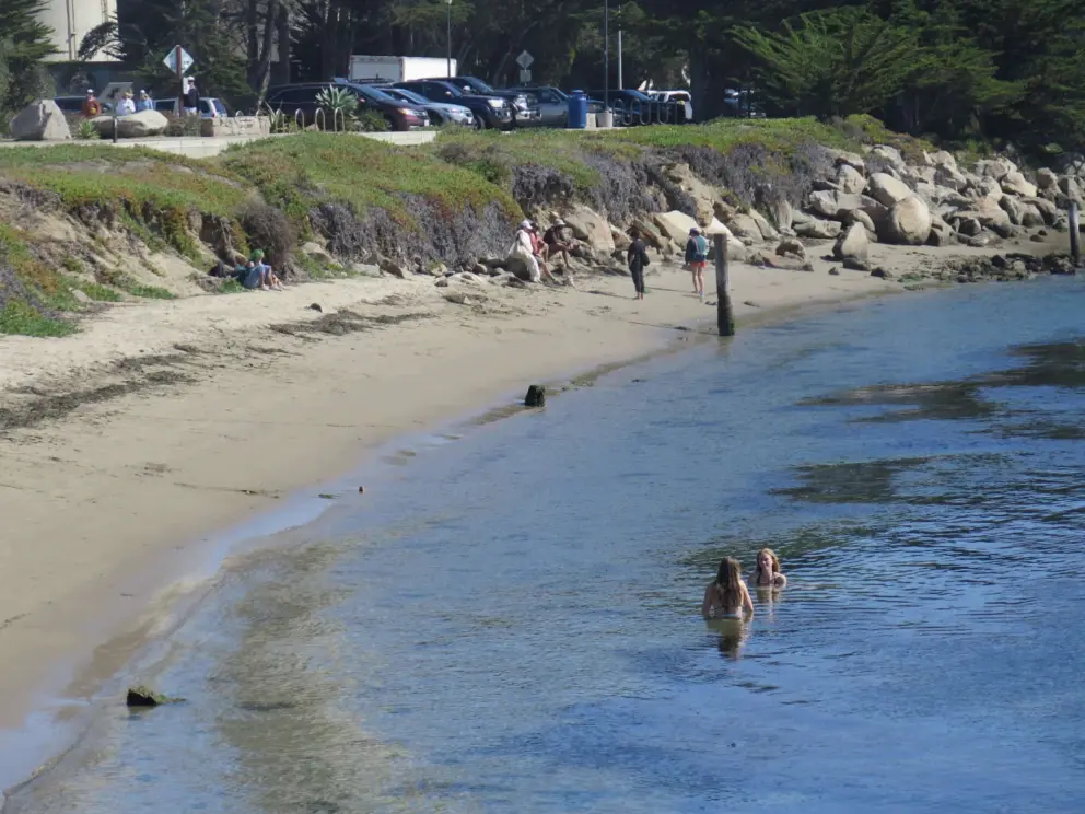 Young women swimming at Coleman Park. This is cold!