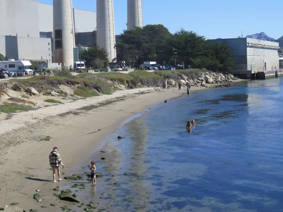 A boy playing at the shore, and young women swimming in the freezing cold water, at Coleman Park.
