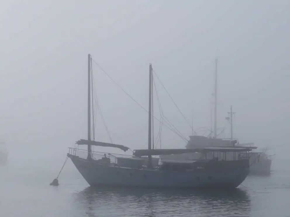 Sometimes the fog is very thick, looking spooky!