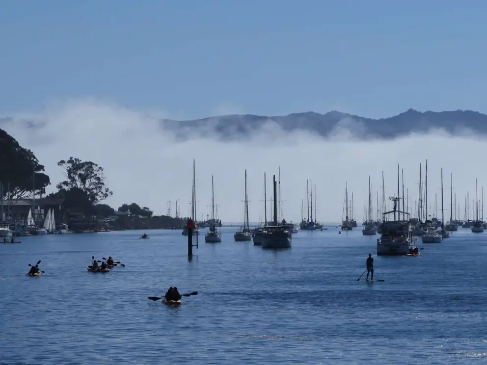Kayakers and a standup paddler, with fog in the distance. 