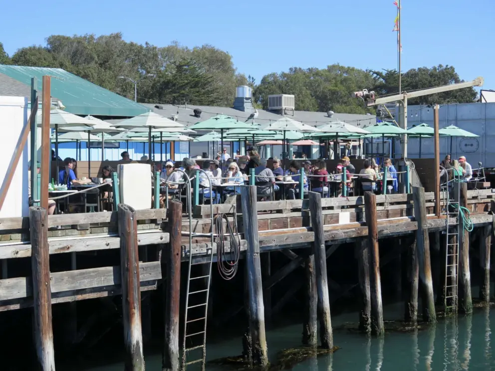 You can dine right above the kelp. 