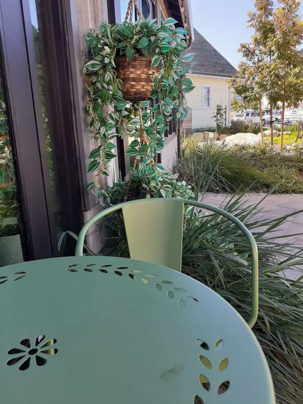 Sitting at a pleasant green table at Lucy's Coffee!