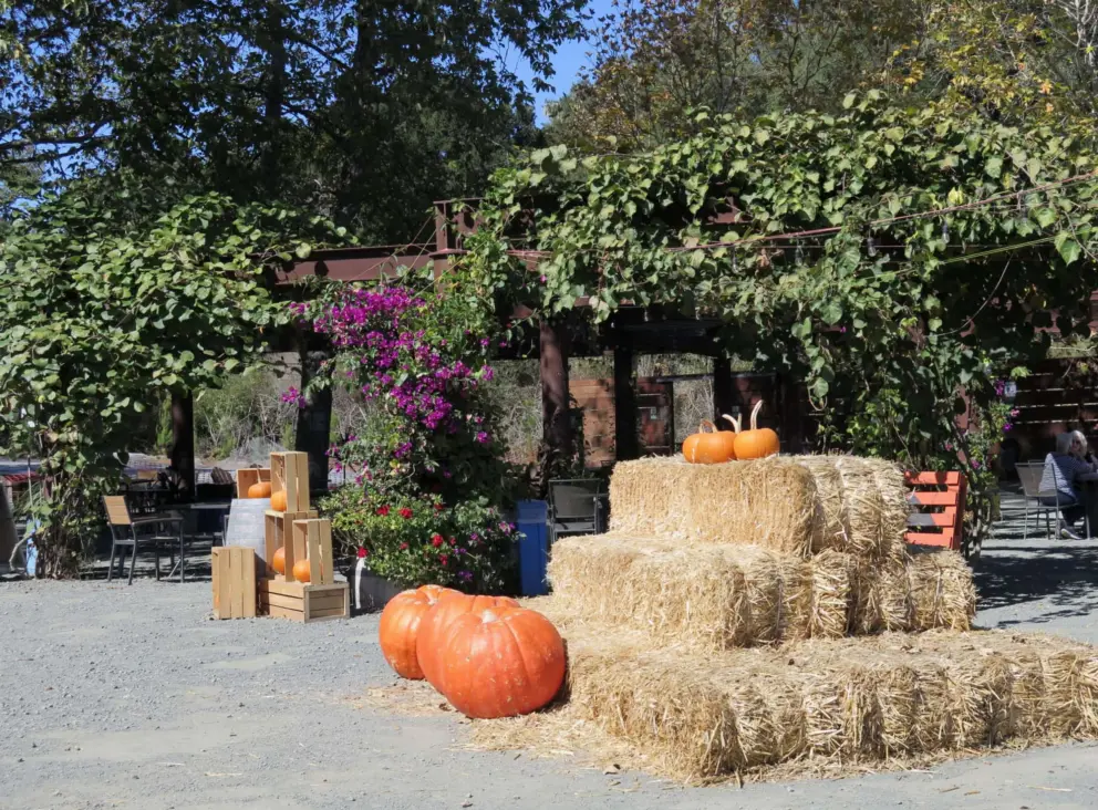 Hay and pumpkins at Secret Garden in October. 