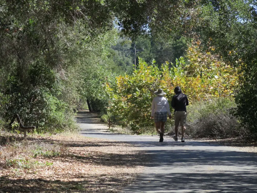 Walking along the Bob Jones Trail.