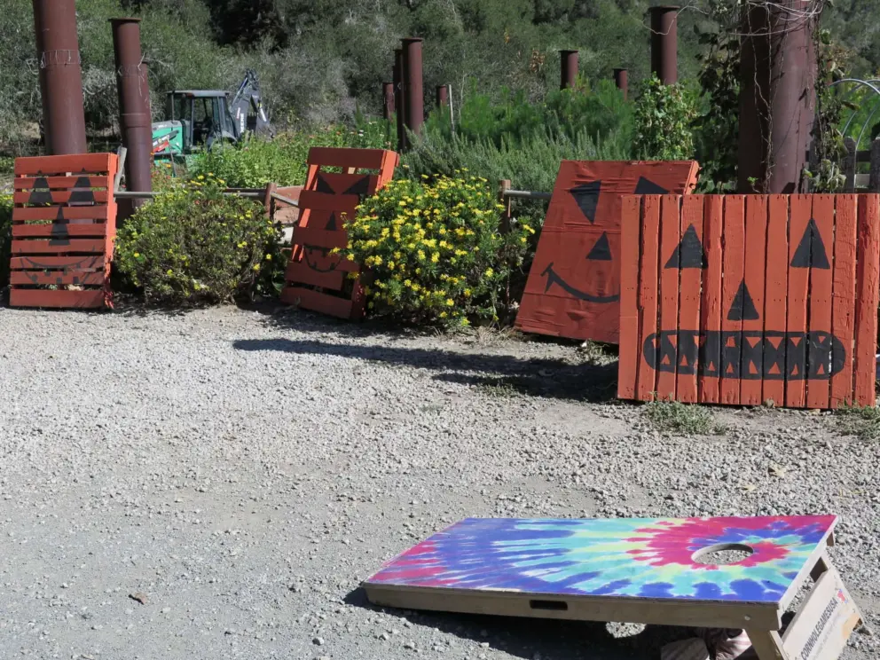 Corn hole and Halloween decorations. 